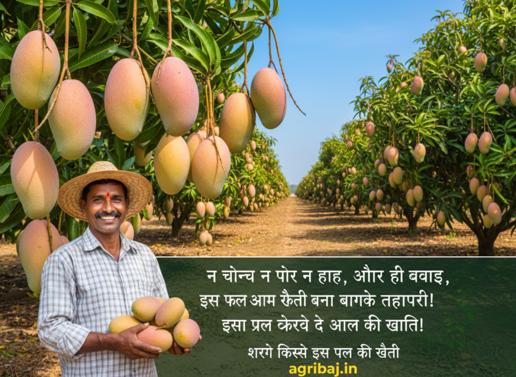 तोतापरी आम खेती