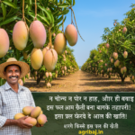 तोतापरी आम खेती