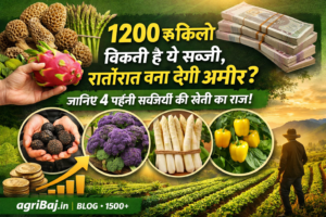 Firefly gpt image 1200 रु किलो बिकती है ये सब्जी रातोंरात बना देगी अमीर जानिए 4 महंगी सब्जियों की खे 461914 1