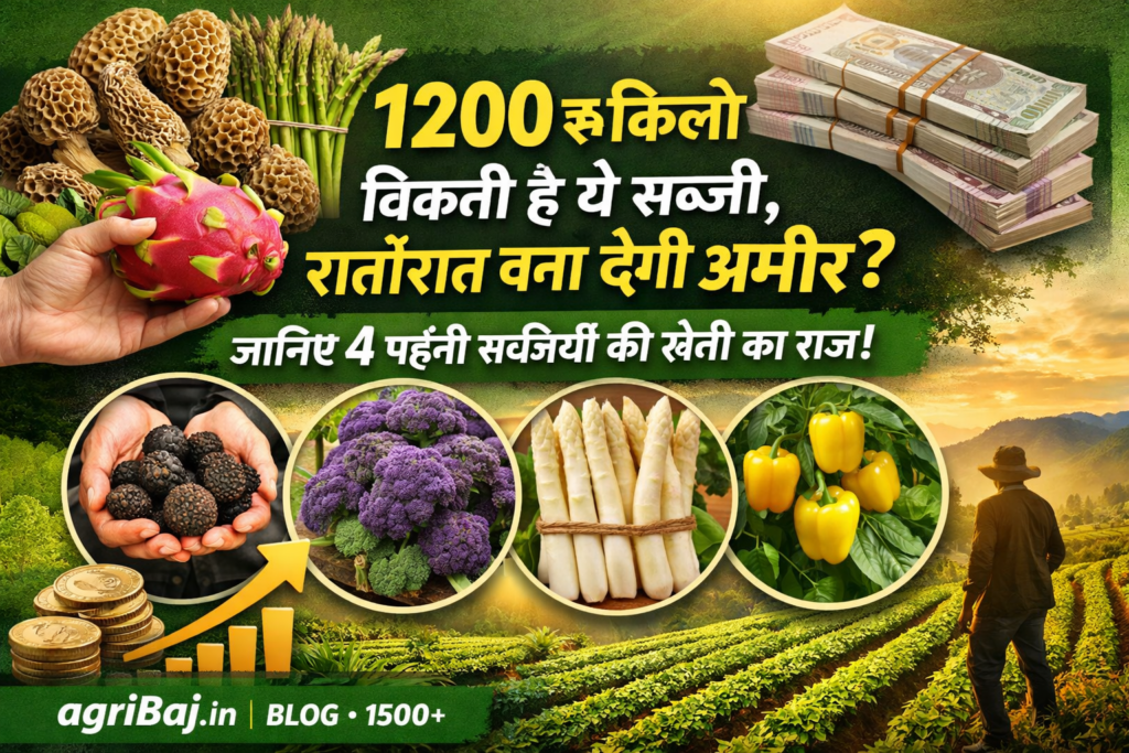 Firefly gpt image 1200 रु किलो बिकती है ये सब्जी रातोंरात बना देगी अमीर जानिए 4 महंगी सब्जियों की खे 461914