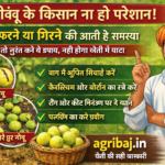 Firefly gpt image नींबू के किसान ना हो परेशान नींबू फटने या गिरने की आती है समस्या तो तुरंत करें ये उ 461914