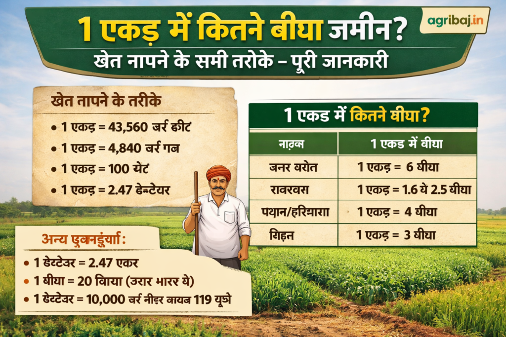 Firefly gpt image 1 एकड़ में कितने बीघा जमीन खेत नापने के सभी तरीके पूरी जानकारी agribaj.in 353618