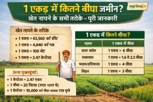 Firefly gpt image 1 एकड़ में कितने बीघा जमीन खेत नापने के सभी तरीके पूरी जानकारी agribaj.in 353618