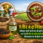 Firefly gpt image 1 तीर से दो निशाना केमिकल वाली महंगी खाद की छुट्टी कर देगी घर में बनी नीम के पत्ते क 769427 1