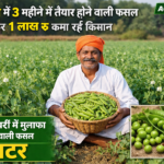 Earn Rs 1 lakh in 3 months from 2 bighas