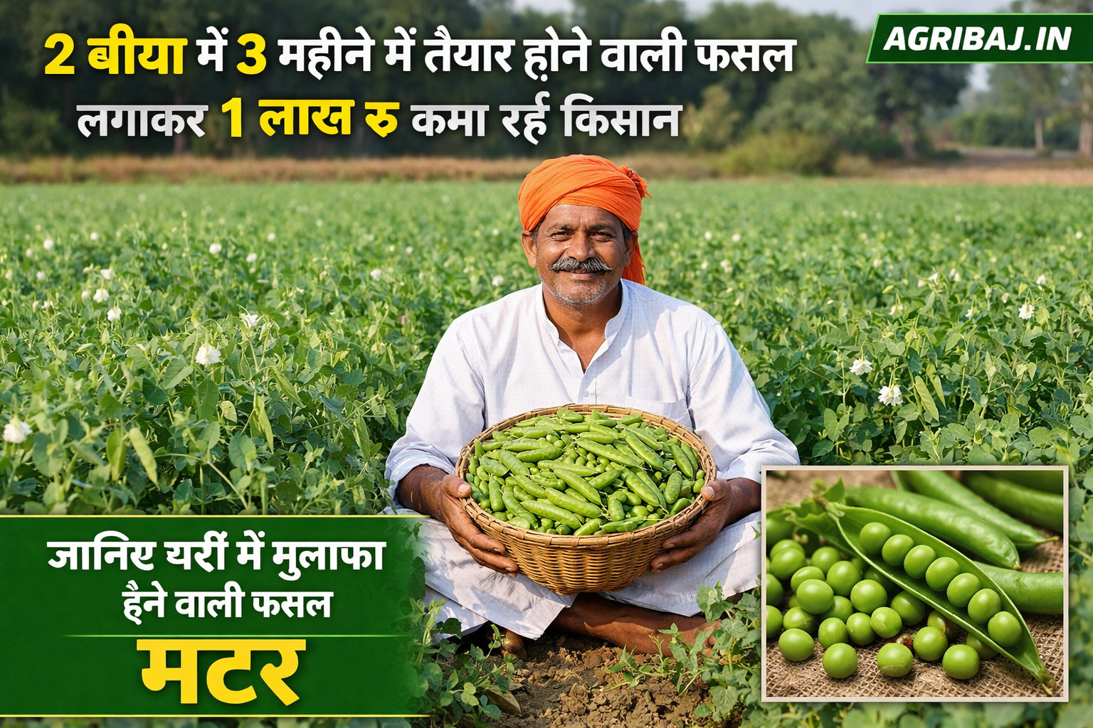 Earn Rs 1 lakh in 3 months from 2 bighas