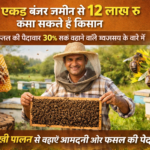 मधुमक्खियों