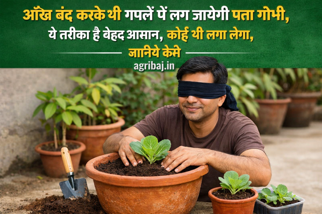 Firefly gpt image आँख बंद करके भी गमलें में लग जायेगी पत्ता गोभी ये तरीका है बेहद आसान कोई भी लगा लेग 722888