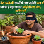 Firefly gpt image आँख बंद करके भी गमलें में लग जायेगी पत्ता गोभी ये तरीका है बेहद आसान कोई भी लगा लेग 722888