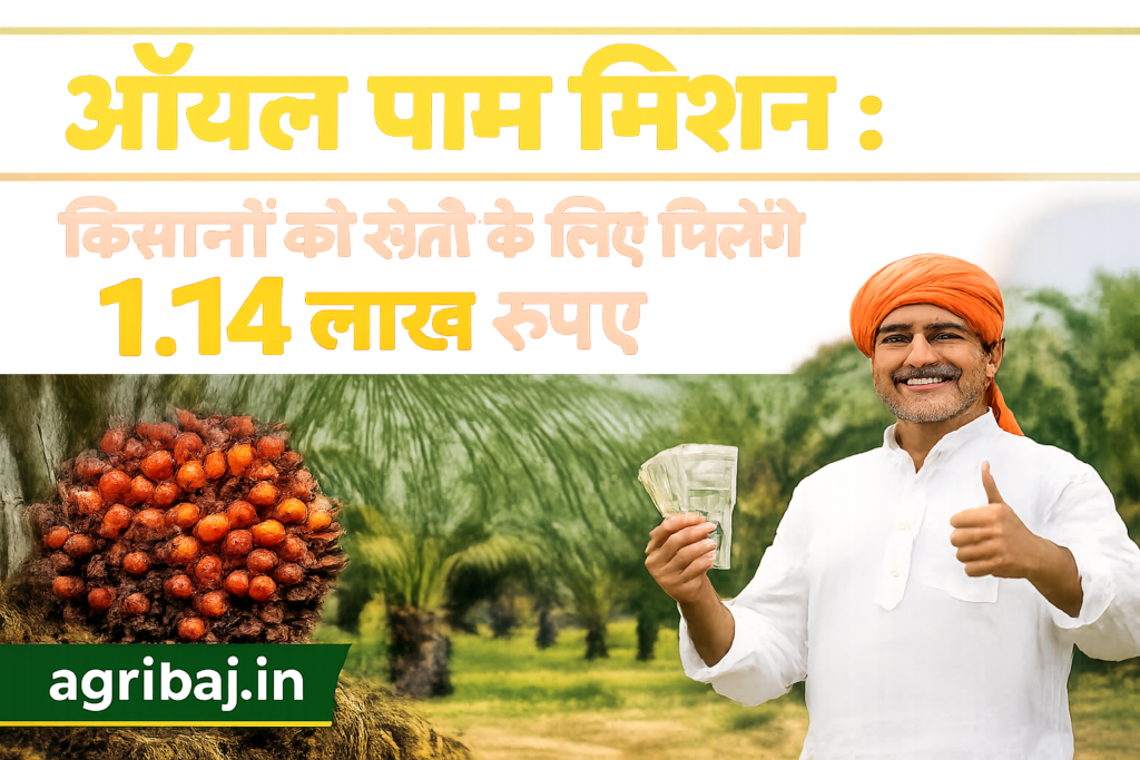 Firefly gpt image ऑयल पाम मिशन किसानों को खेती के लिए मिलेंगे 1.14 लाख रुपए agribaj.in clear word 334614