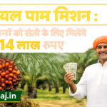 Firefly gpt image ऑयल पाम मिशन किसानों को खेती के लिए मिलेंगे 1.14 लाख रुपए agribaj.in clear word 334614