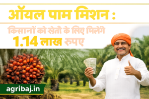 Firefly gpt image ऑयल पाम मिशन किसानों को खेती के लिए मिलेंगे 1.14 लाख रुपए agribaj.in clear word 334614