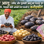 Firefly gpt image काला आलू सफेद और गुलाबी आलू को पछाड़ देने वाली क्रांति जिसकी खेती आपको बना सकती है 353618
