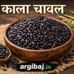 काला चावल
