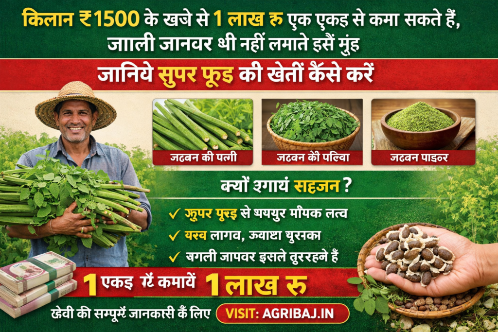 Firefly gpt image किसान ₹1500 के खर्चे से 1 लाख रु एक एकड़ से कमा सकते हैं जंगली जानवर भी नहीं लगाते इ 849039