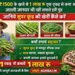 Firefly gpt image किसान ₹1500 के खर्चे से 1 लाख रु एक एकड़ से कमा सकते हैं जंगली जानवर भी नहीं लगाते इ 849039