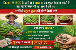 Firefly gpt image किसान ₹1500 के खर्चे से 1 लाख रु एक एकड़ से कमा सकते हैं जंगली जानवर भी नहीं लगाते इ 849039