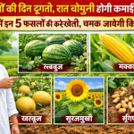 Firefly gpt image किसानों की दिन दूगनी रात चौगुनी होगी कमाई गर्मियों में इन 5 फसलों की करें खेती चमक 769427