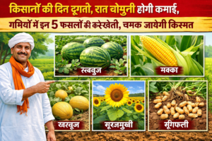 Firefly gpt image किसानों की दिन दूगनी रात चौगुनी होगी कमाई गर्मियों में इन 5 फसलों की करें खेती चमक 769427