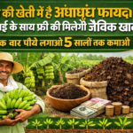 Firefly gpt image केले की खेती में है अंधाधुंध फायदा कमाई के साथ फ्री की मिलेगी जैविक खाद एक बार पौधे 905194