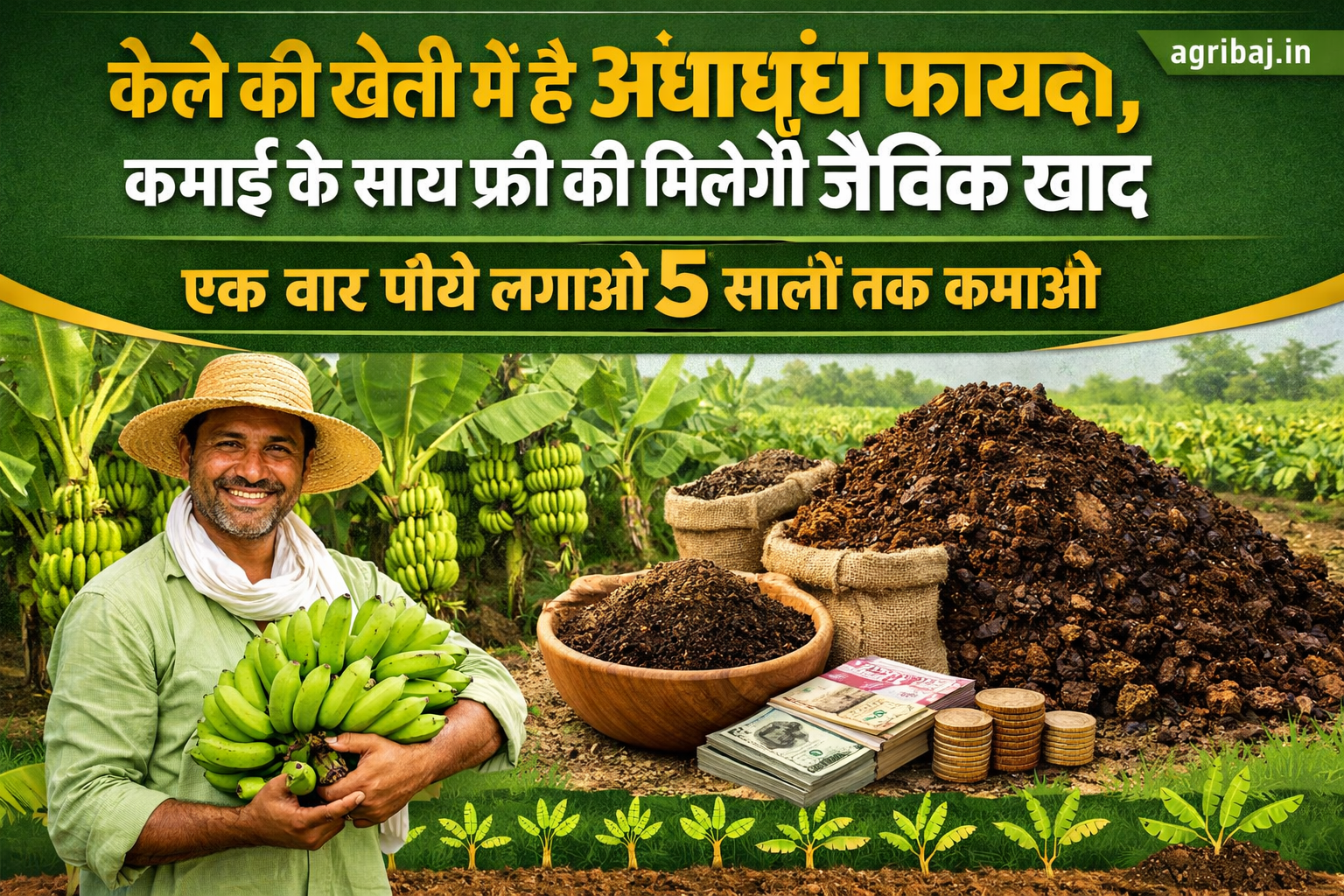 Firefly gpt image केले की खेती में है अंधाधुंध फायदा कमाई के साथ फ्री की मिलेगी जैविक खाद एक बार पौधे 905194