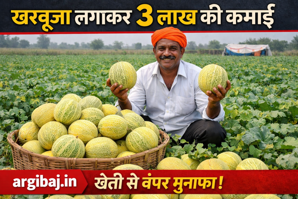 खरबूजा लगाकर 3 लाख की कमाई