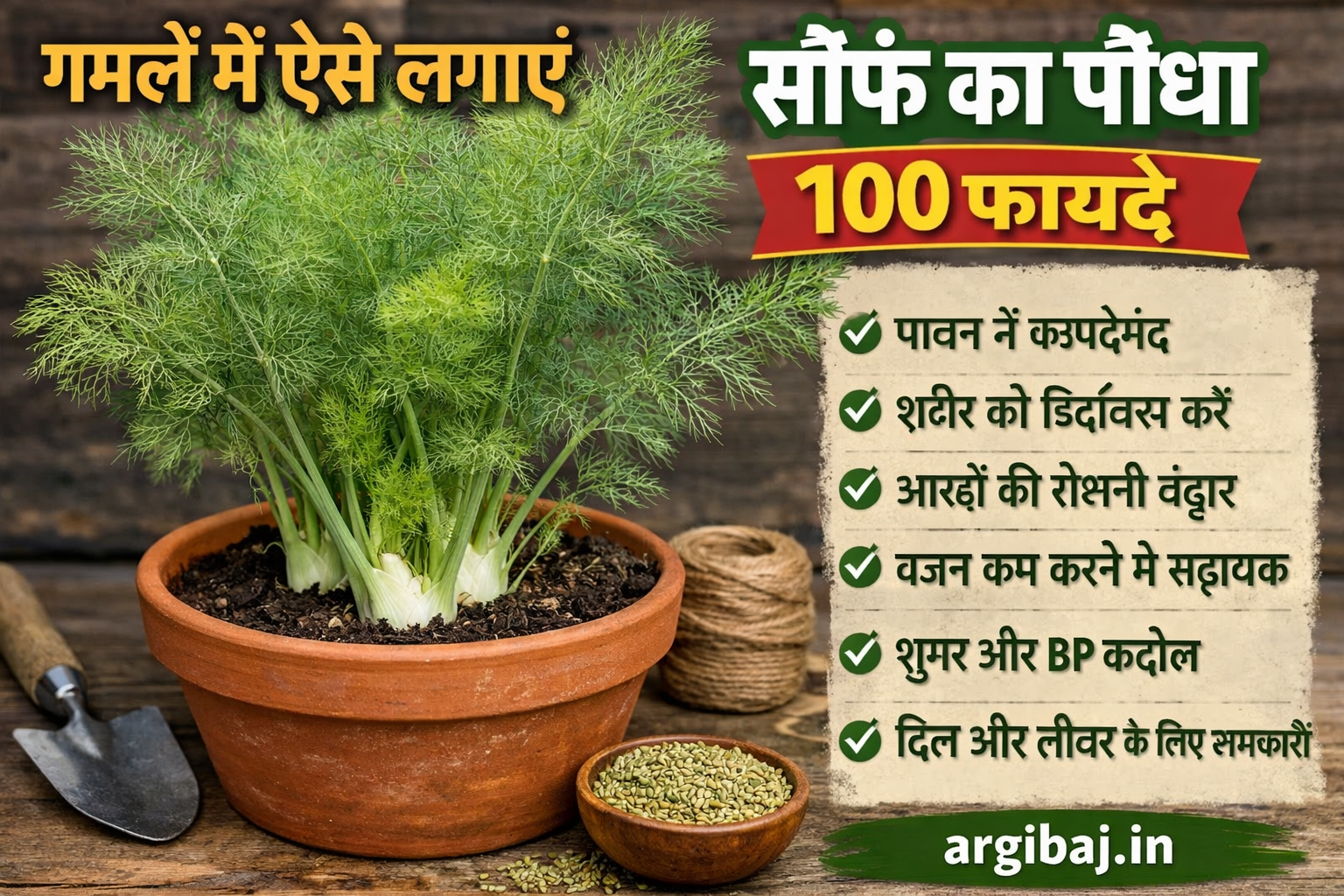 गमलें में ऐसे लगाएं सौंफ का पौधा