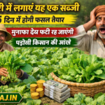 Plant radishes in January