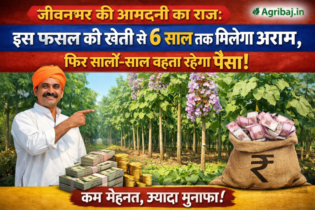 लवंग” यानी क्लोव (Clove)