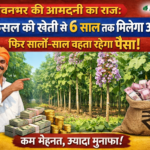 लवंग” यानी क्लोव (Clove)