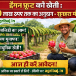 Firefly gpt image ड्रैगन फ्रूट की खेती 2.70 लाख रुपए तक का अनुदान सुनहरा मौका agribaj.in 334614