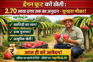 Firefly gpt image ड्रैगन फ्रूट की खेती 2.70 लाख रुपए तक का अनुदान सुनहरा मौका agribaj.in 334614