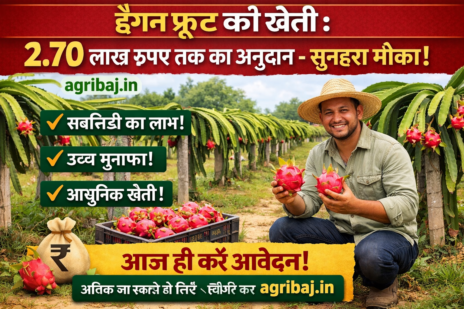 Firefly gpt image ड्रैगन फ्रूट की खेती 2.70 लाख रुपए तक का अनुदान सुनहरा मौका agribaj.in 334614