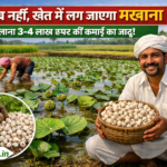 Firefly gpt image तालाब नहीं खेत में लग जाएगा मखाना सालाना 3 4 लाख रुपए की कमाई का जादू 3d agriba 371224