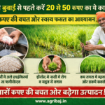 Firefly gpt image धान की बुवाई से पहले करें 20 से 50 रुपए का ये काम हजारों रुपए की बचत और स्वस्थ फसल क 371224