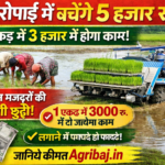 Firefly gpt image धान रोपाई में बचेंगे 5 हजार रु एक एकड़ में 3 हजार में होगा काम ये मशीन मजदूरों की कर 353618