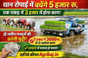 Firefly gpt image धान रोपाई में बचेंगे 5 हजार रु एक एकड़ में 3 हजार में होगा काम ये मशीन मजदूरों की कर 353618