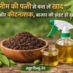 नीम की पत्ती से बना लें खाद और कीटनाशक,