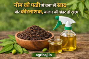 नीम की पत्ती से बना लें खाद और कीटनाशक,