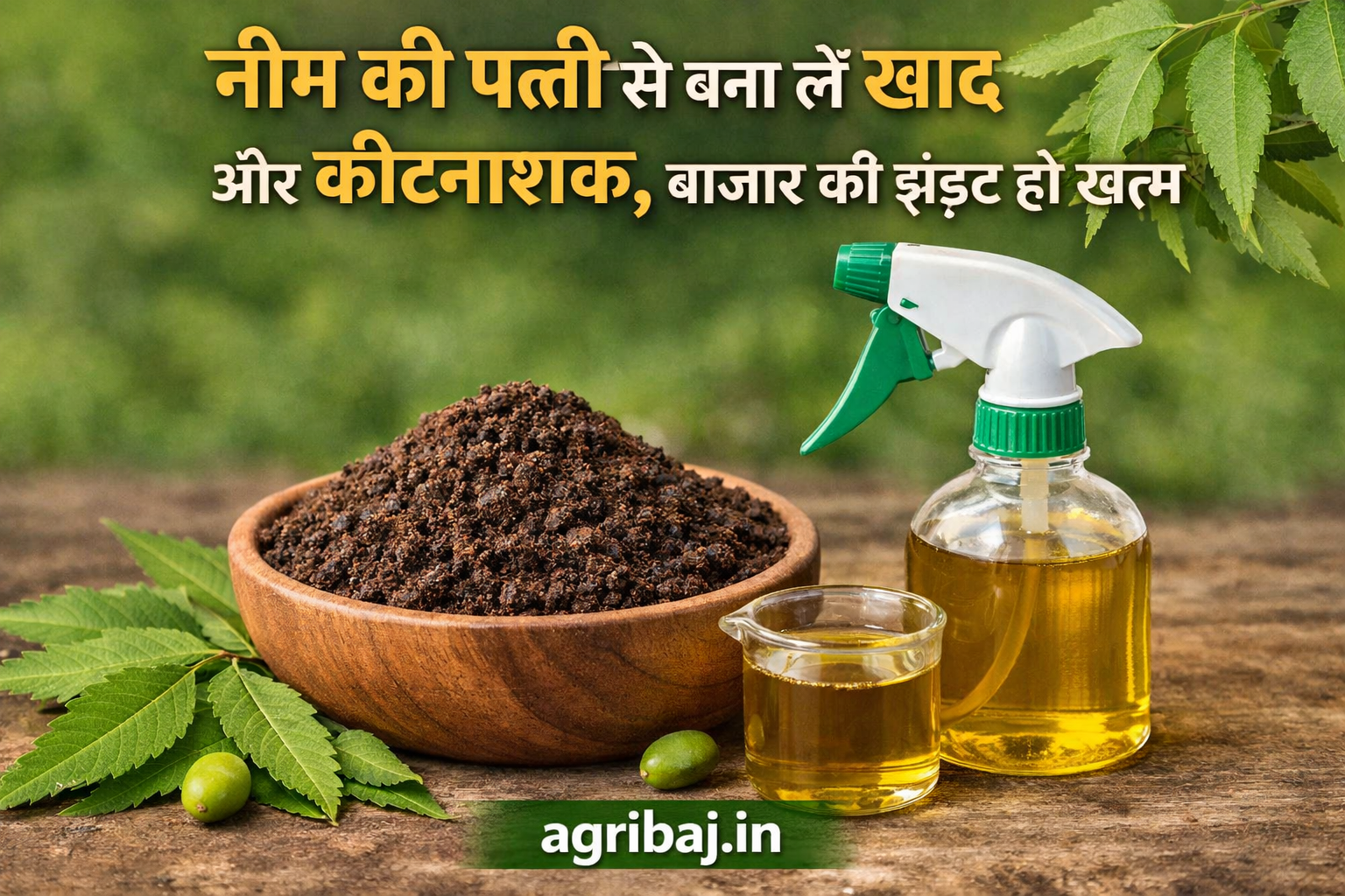 नीम की पत्ती से बना लें खाद और कीटनाशक,