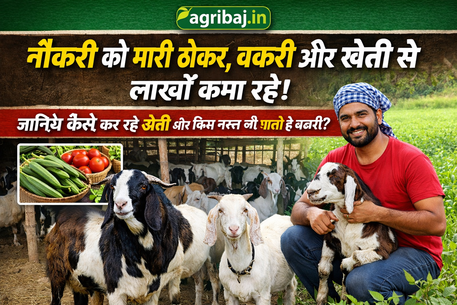 सोकत, जखराना और बरबरी