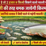 सोकत बकरी