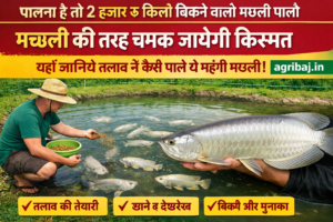 सोकत बकरी