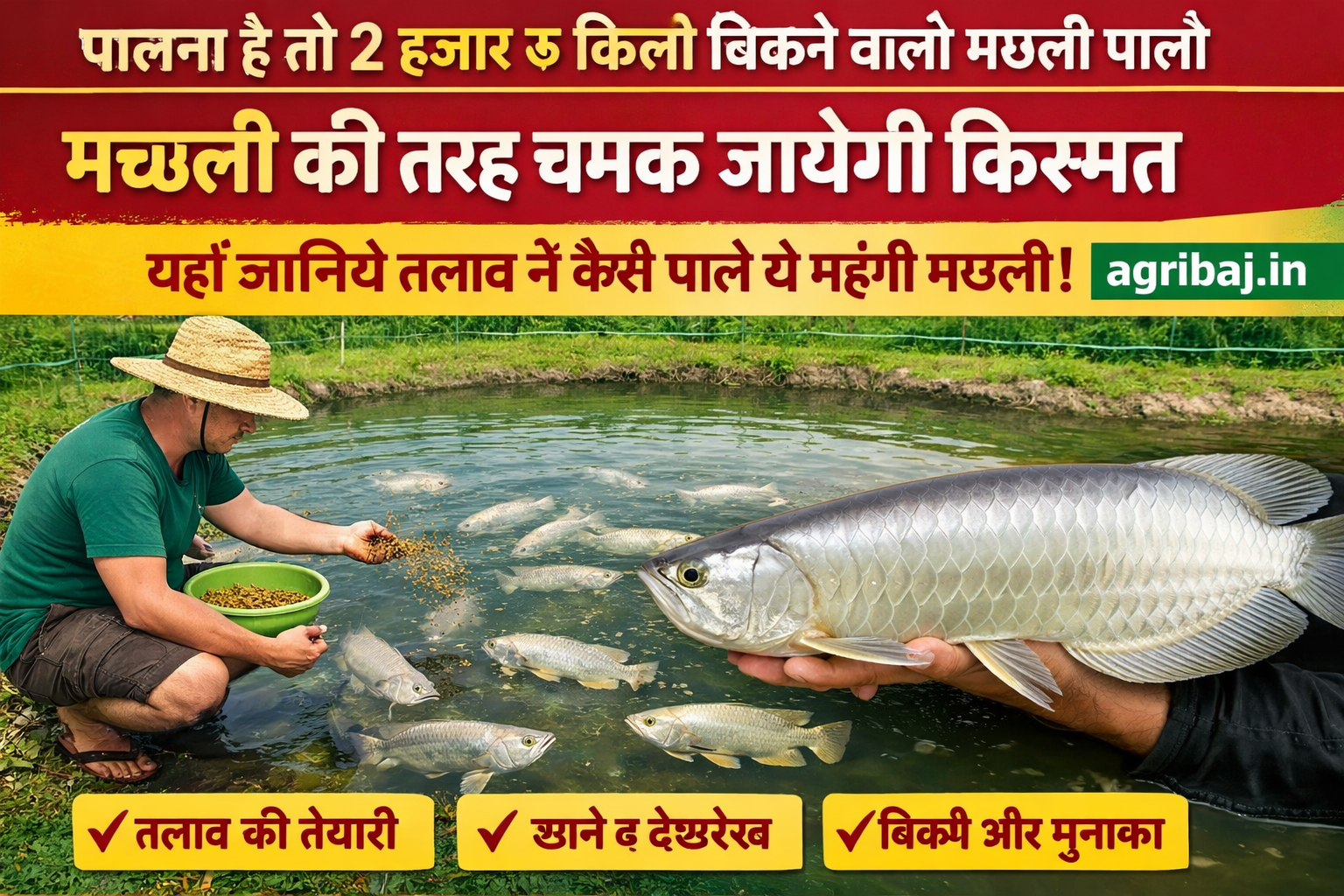 सोकत बकरी