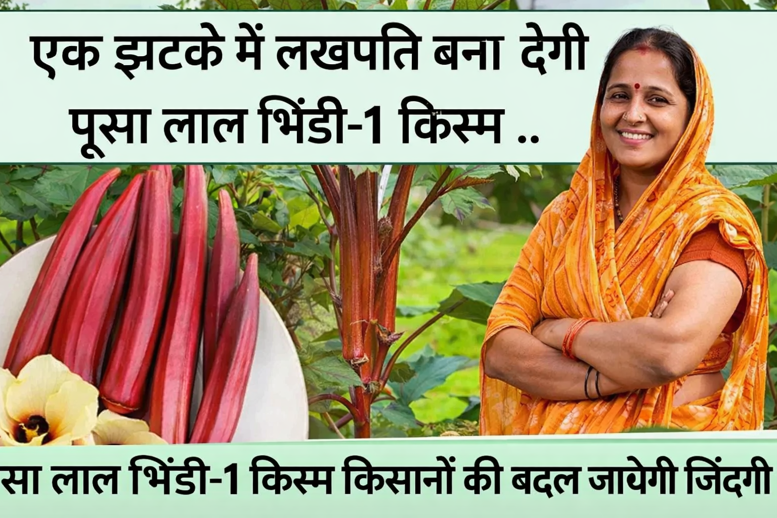 पूसा-लाल-भिंडी-