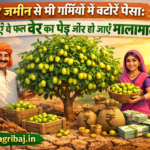 Firefly gpt image बंजर जमीन से भी गर्मियों में बटोरें पैसा लगाएं ये फल बेर का पेड़ और हो जाएं मालामाल 371224
