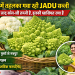 Firefly gpt image बाजार में तहलका मचा रही JADU सब्जी जानिये ये जादू कौन सी सब्जी है इसकी खासियत क्या 417053