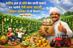 Firefly gpt image बारिश होते ही बोये बेल वाली फसलें बन जायेंगे पैसे वाला आदमी दोगुना मुनाफा ले रहे कि 371224
