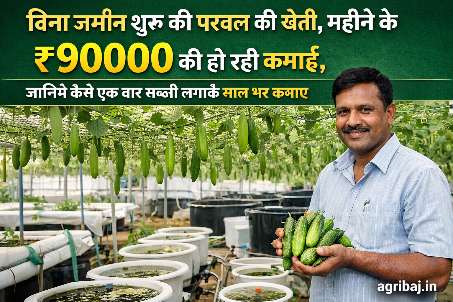 न खेत, न ज़मीन—फिर भी 90 हजार की कमाई! जानिए परवल खेती का राज