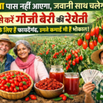 Firefly gpt image बुढ़ापा पास नहीं आएगा जवानी साथ चलेगी ऐसे करें गोजी बेरी की खेती सेहत के लिए है फाय 722888